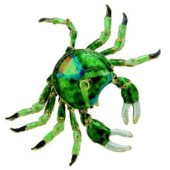 Articulated Green Crab, 4