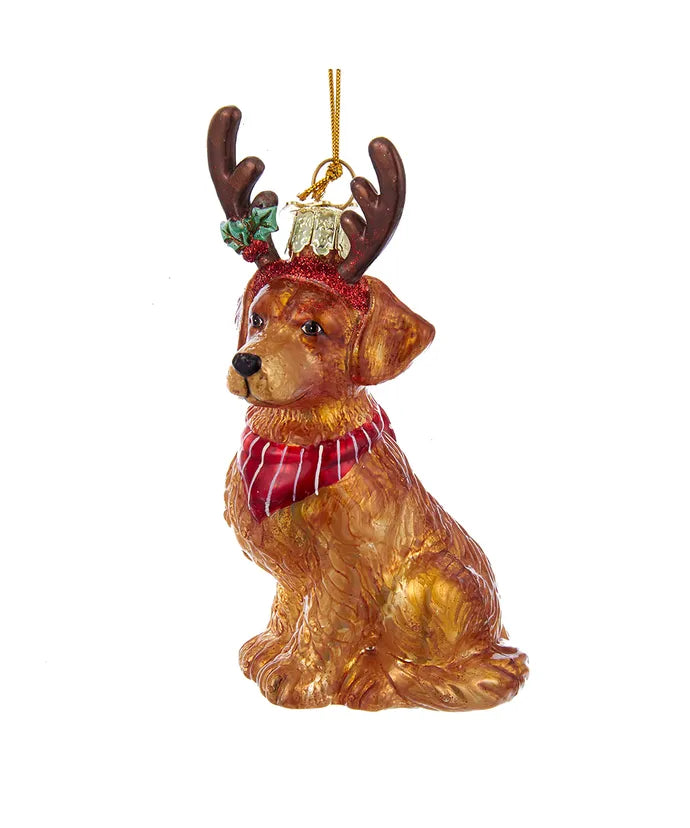 Noble Gems Glass Golden Retiever with Antlers Ornament, 4"