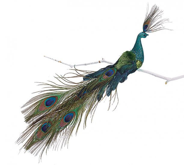 Peacock on Clip Lrg. 15"