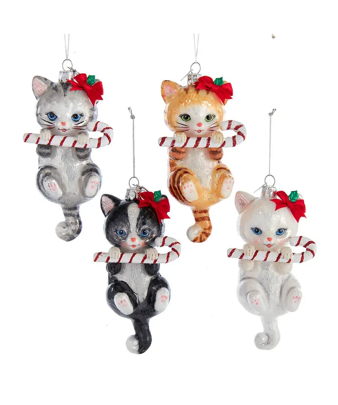 Glass Cat with Cane Ornament 5"
